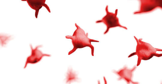 Le plasma riche en plaquettes